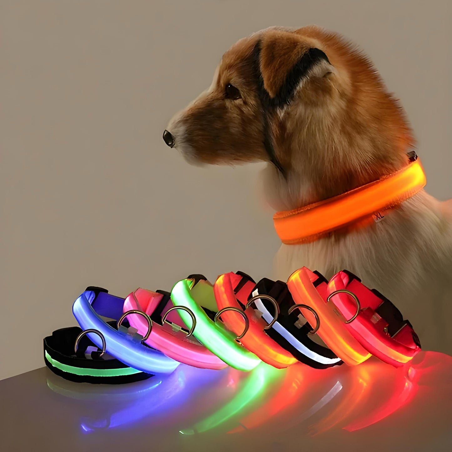 Life Saving OLED Visibility Collar