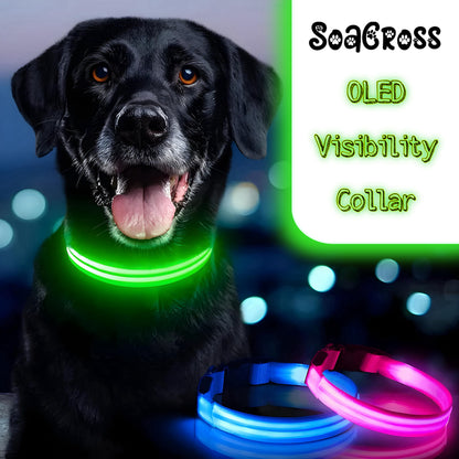 Life Saving OLED Visibility Collar