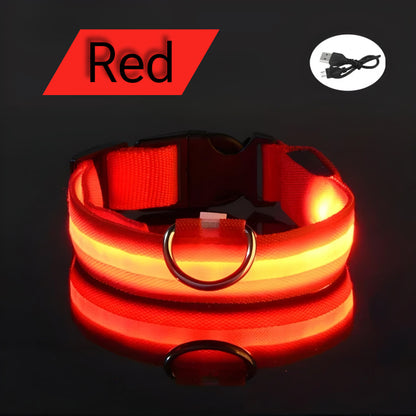 Life Saving OLED Visibility Collar