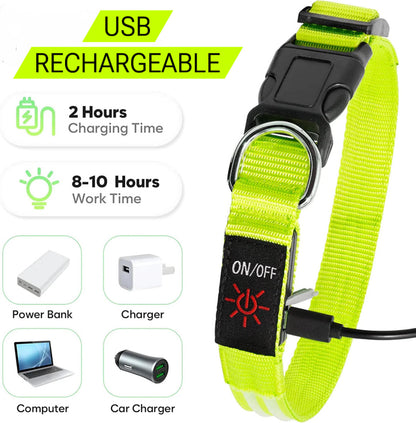 Life Saving OLED Visibility Collar