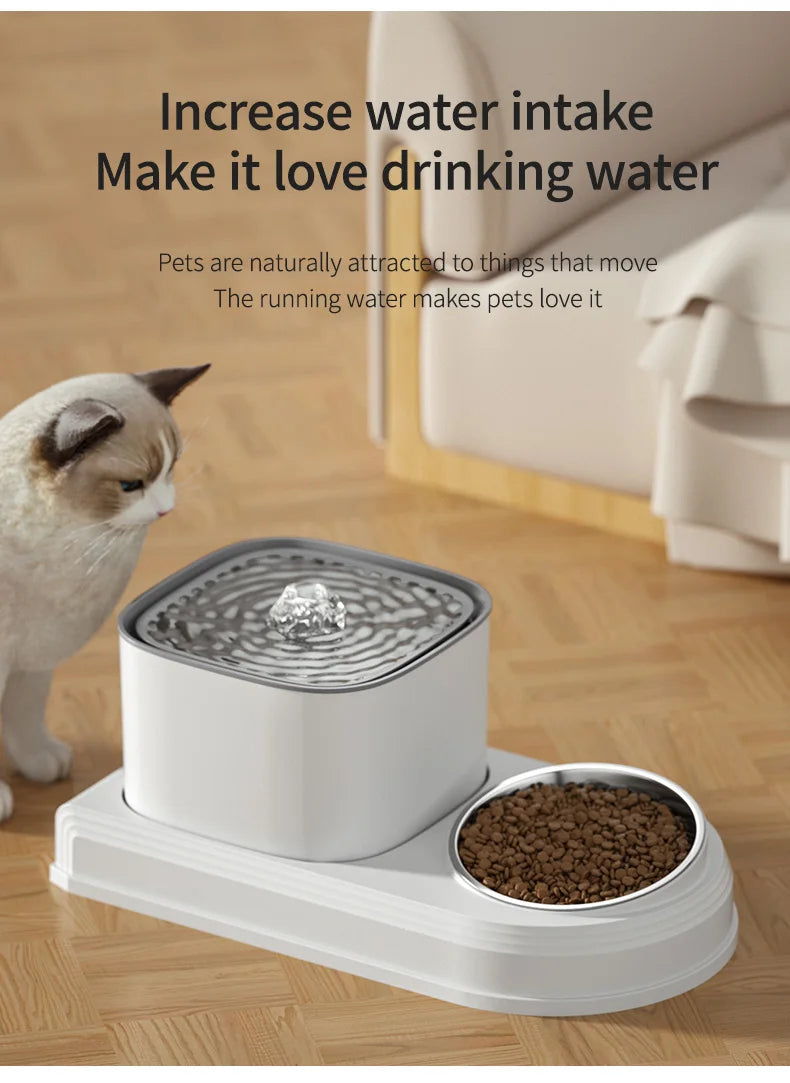 2in1 Fountain Feeding Bowl