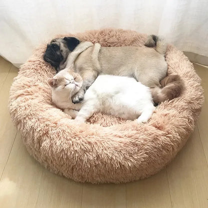 Dog Doughnut