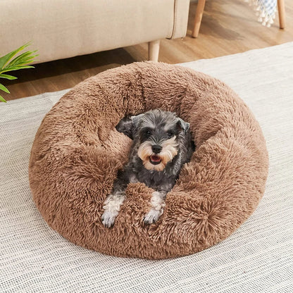 Dog Doughnut