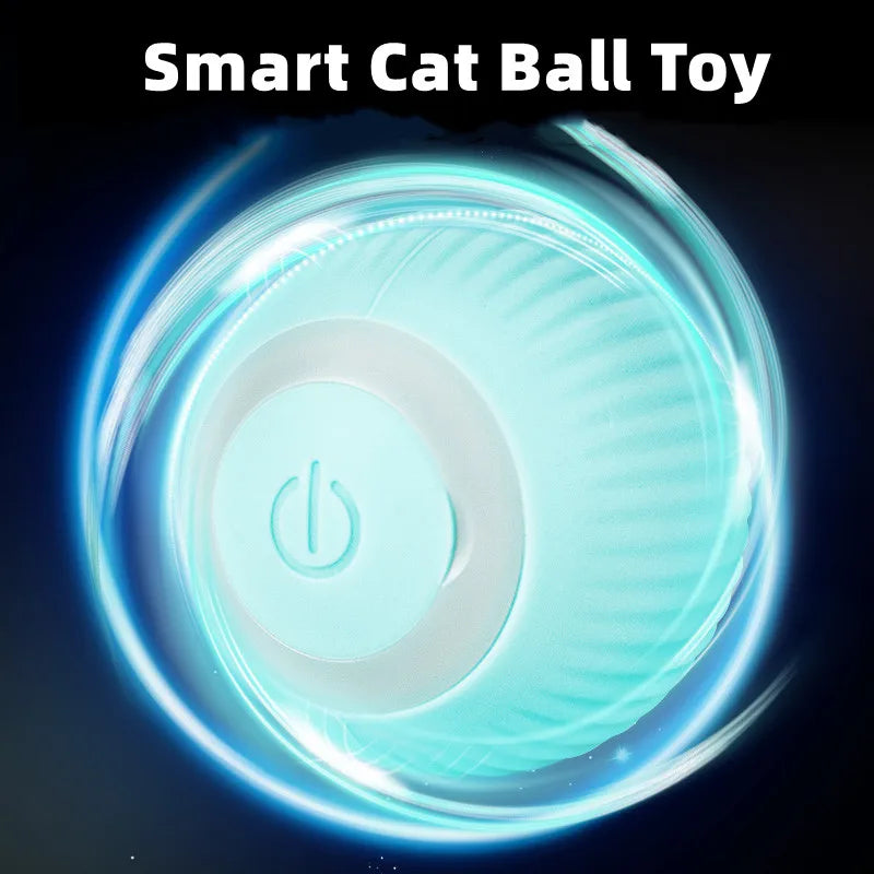 Electric Ball Toy